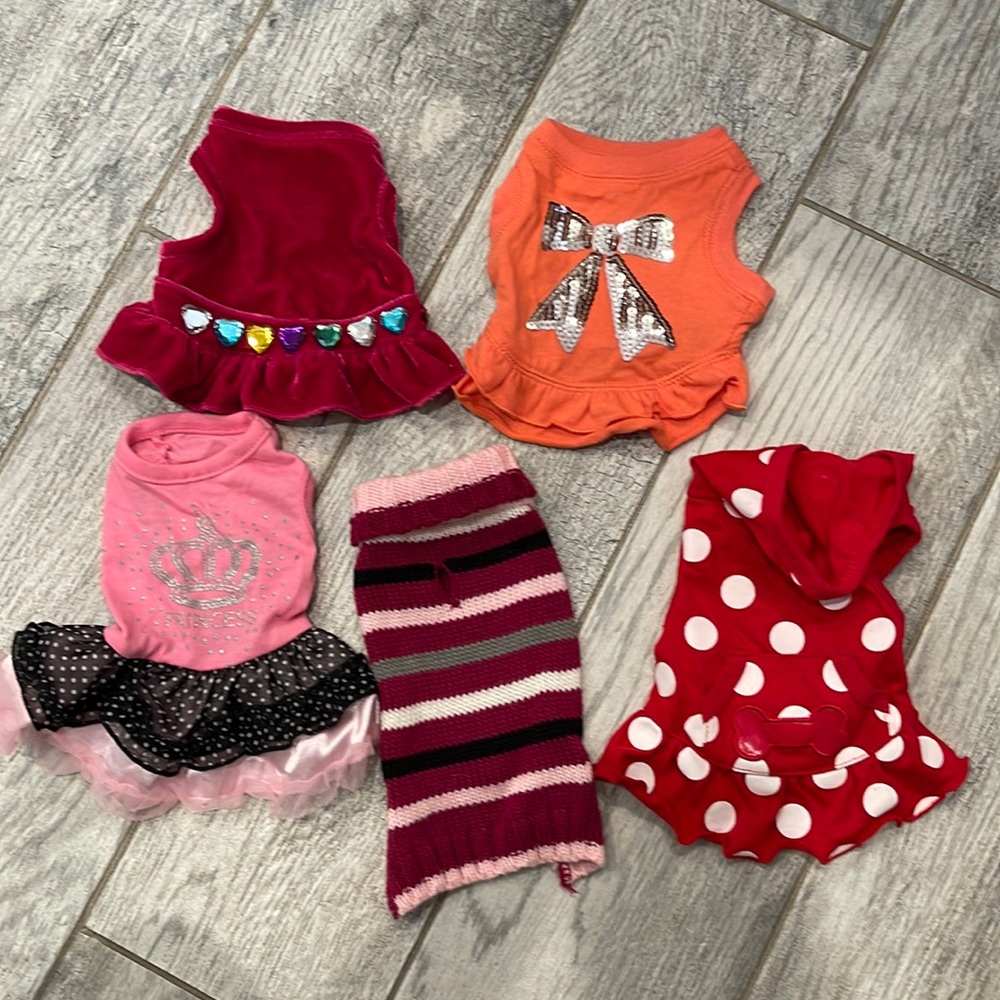 XSmall Dog outfit